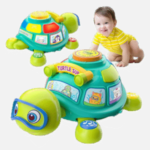 Musical Crawling Turtle